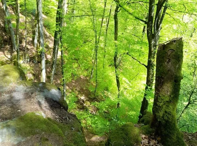Lüks kamp alanı Country Camp Echternacherbrueck Echternacherbruck